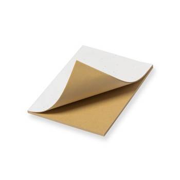 Notatnik A5, papier z nasionami, biały V1098-02